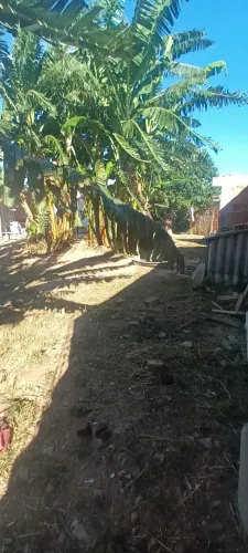 Vendo casa em queimados ao lado escola comércio clínica família 
