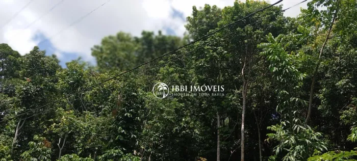 140 hectares vista mar sul da Bahia 9 milhões oportunidade
