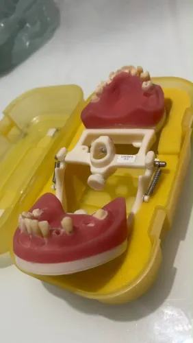 Manequim de perio e dentistica