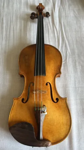Violino
