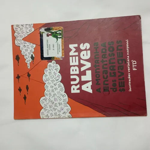 Livro A Montanha Encantada dos Gansos Selvagens - Rubem Alves