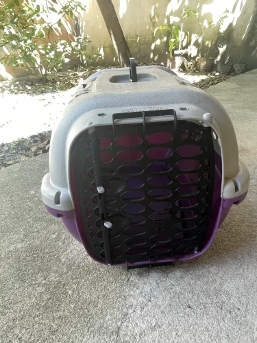 Casinha de cachorro