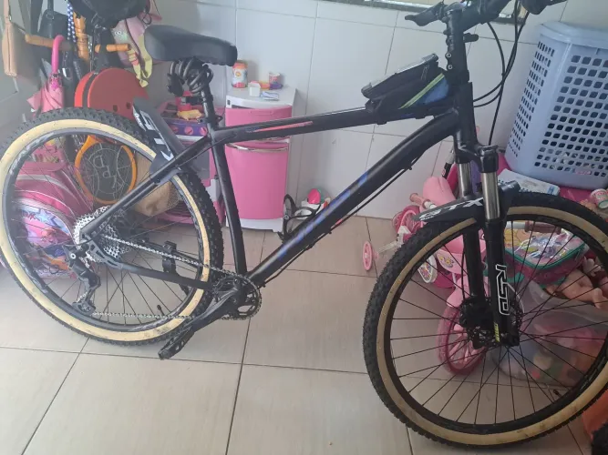 Bicicleta