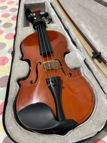 Violino BlackWood 4/4