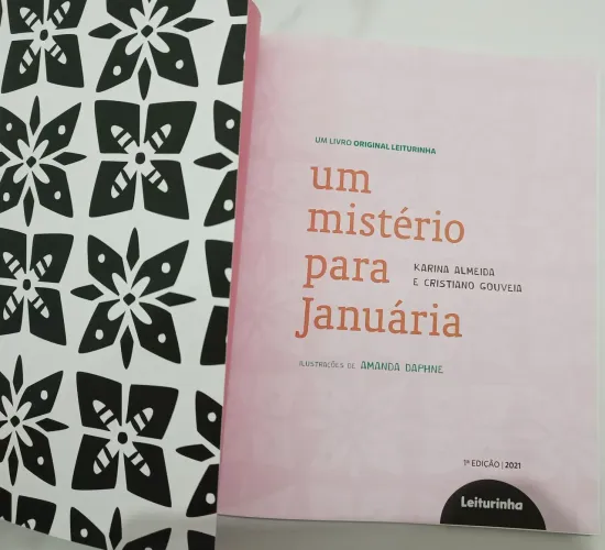Livro Um Mistério para Januária