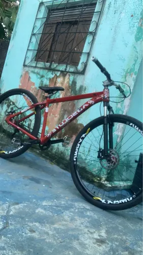Bicicleta