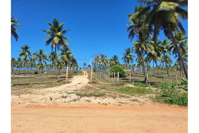 Terrenos beira mar em Sítio do Conde -Bahia