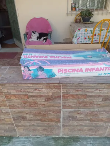 Piscina retangular 1500lts