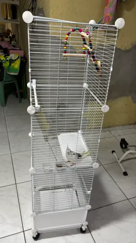 Gaiola com 4 níveis