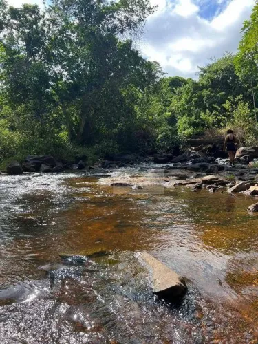 Fazenda à venda, 114700000 m² por R$ 250.000.000,00 - Setor Novo Oeste - Tucuruí/PA