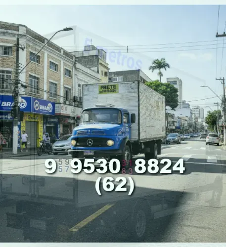 Frete - Alessandro 62?9?9530?8824 - Frete com segurança e agilidade para sua mudança!