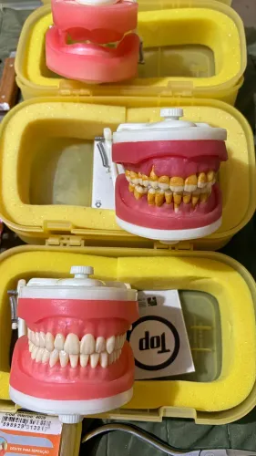 Kit manequins odonto