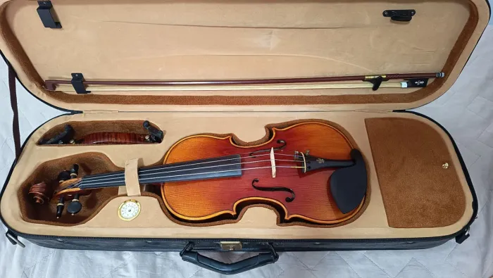 Violino Profissional Christina V06