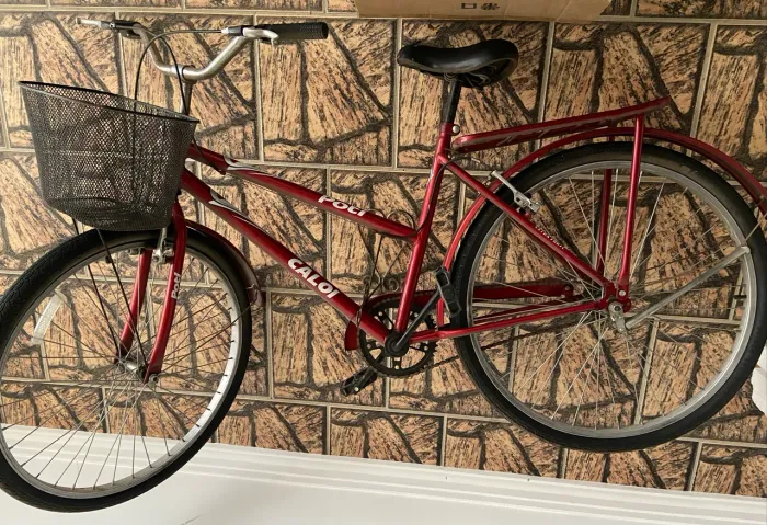 BICICLETA POTI