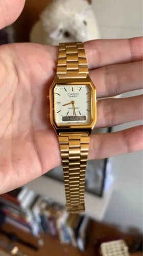 Casio AQ-230GA-9DMQ