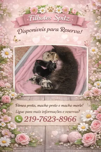 Bebês