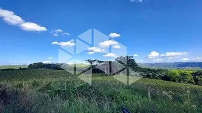 Área de 6hectares em São Gabriel, Garibaldi