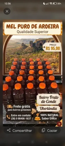 Mel puro do norte de minas
