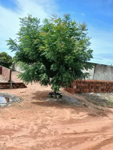 vendo terreno 