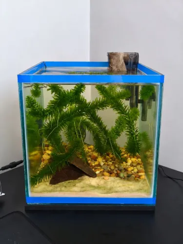 Aquário 15 litros