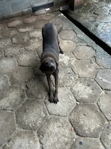 Lua