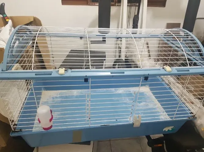 gaiola para porquinho da índia, ferret, chinchila