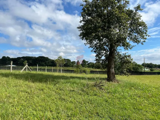 ÁREA à venda com 6250.86m² por R$ 754.000,00 no bairro planta laranjeiras - PIRAQUARA / PR