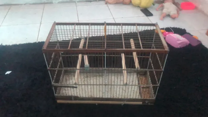 Voador