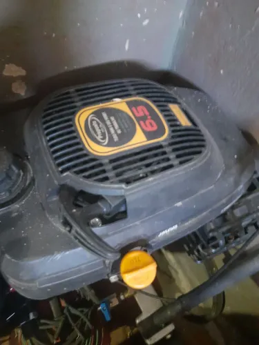 Motor de polpa