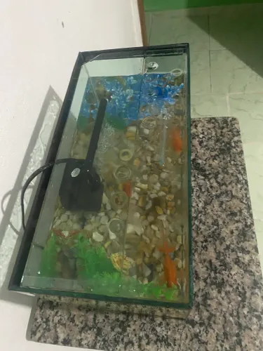 Aquario 