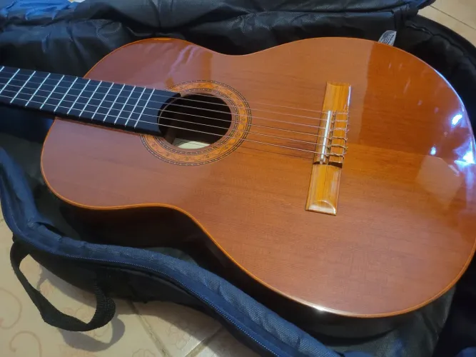 Violão Di Giorgio Autor 3