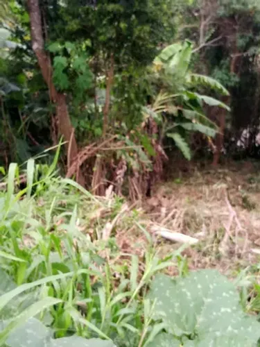 Terreno na Fazendinha - Teresópolis