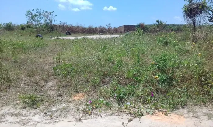 Lote / Terreno 250m2 - Loteamento Nova Canaã