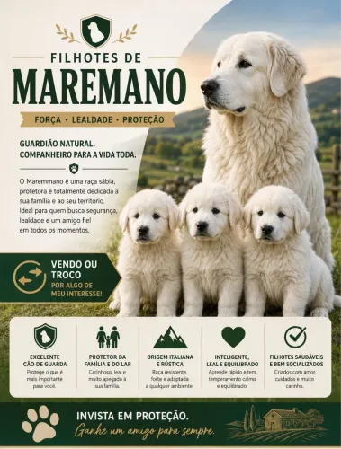 Filhote maremano