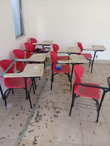 Cadeiras de escola 250,00 cada uma