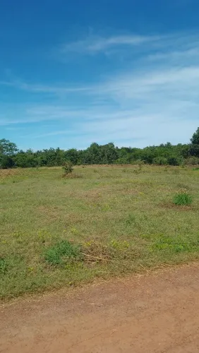 Terreno a venda na Santa Teresa, pra quem deseja construir ou fazer um sítio.