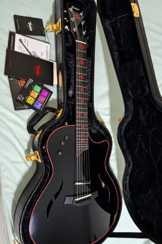 Taylor T5 Serj Tankian Signature 