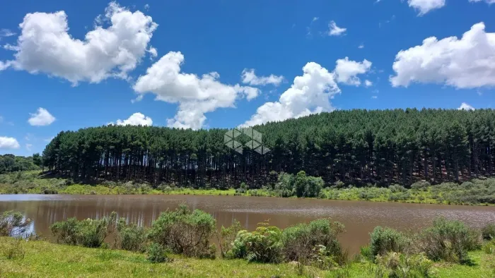 ? FAZENDA À VENDA | BOM JESUS - RS Distrito de Capão do Tigre | 360 hectares