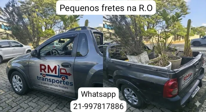 Frete profissional trilíngue ( port/ esp/ inglês)