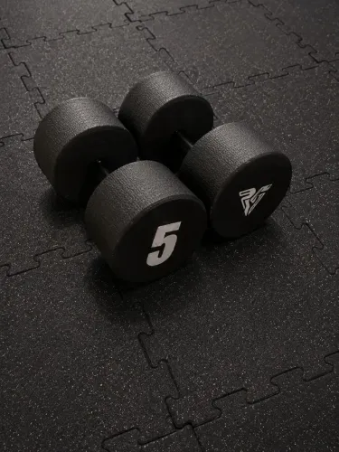 Dois halteres de 5kg