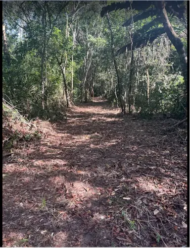 TERRENO AMPLO À VENDA - 7.590 m² | CERCADO E COM ACESSO ABERTO