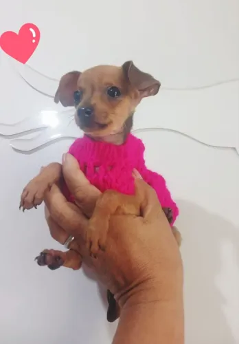 Pinchi n 0 com n 1 bem pequena