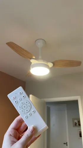 Ventilador de teto