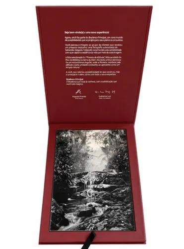 Fotografia Floresta de Altitude Sebastião Salgado 