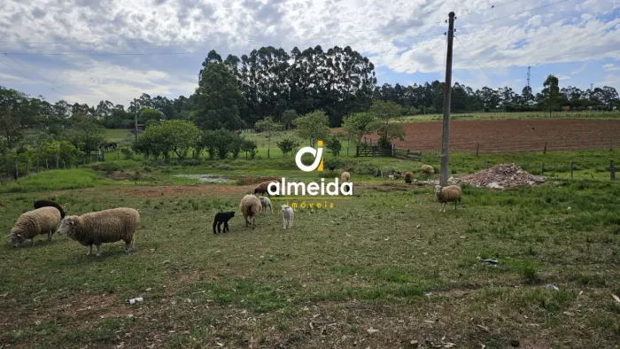 Chácara 3 dormitórios à venda Boca do Monte Santa Maria/RS