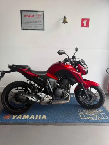 FZ 25