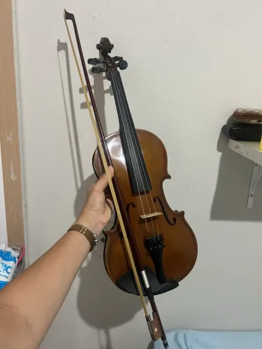 Violino