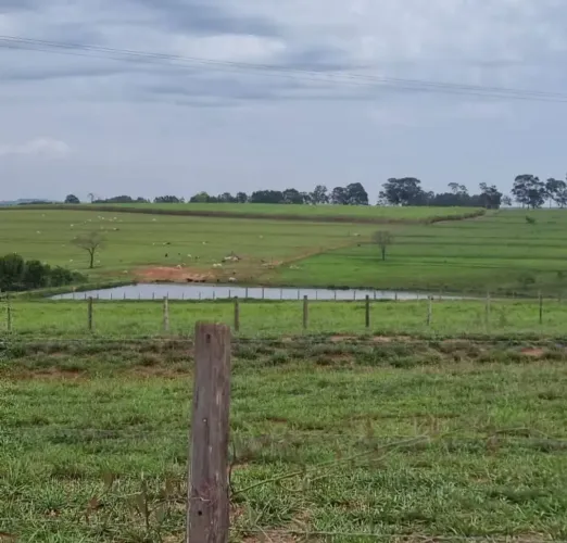 FAZENDA À VENDA  MONTE APRAZÍVEL/SP      60 alqueires