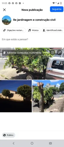 Podas e derrubadas de arvores