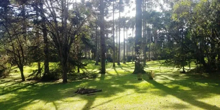 TERRENO no CASCATAS com 0 quartos para VENDA, 19127 m²